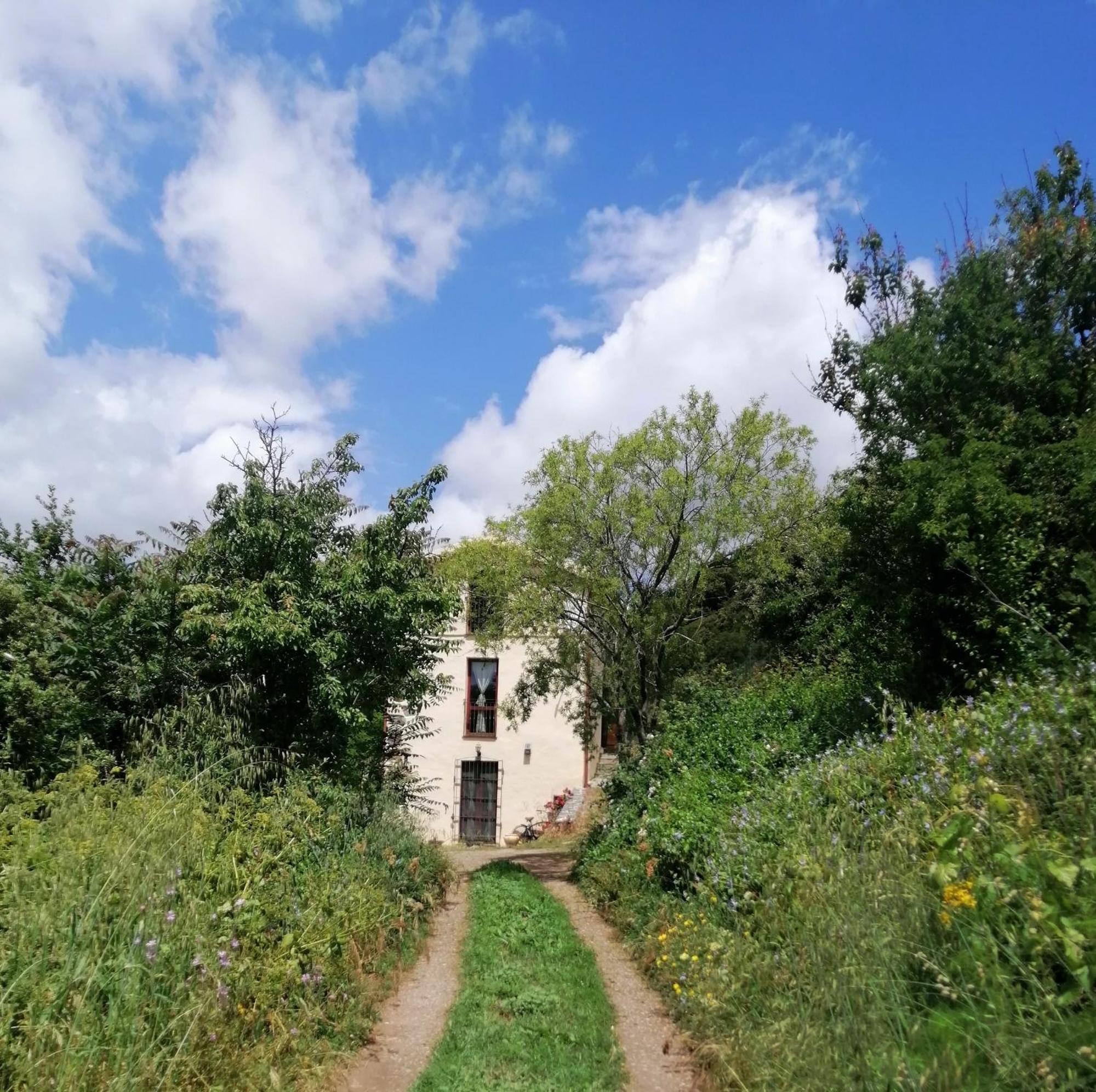 La Peonia Casa Vacanze In Montagna Prato Verde Panorama Stupendo Sardegna Seùlo Εξωτερικό φωτογραφία