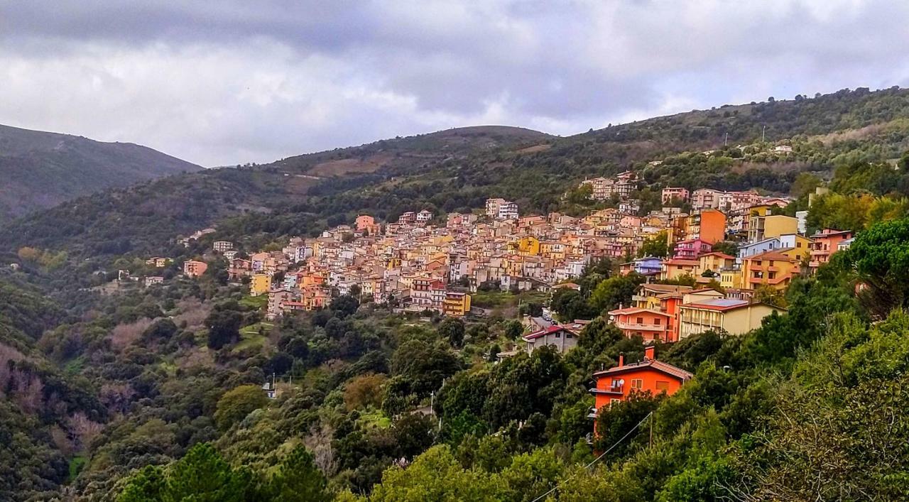 La Peonia Casa Vacanze In Montagna Prato Verde Panorama Stupendo Sardegna Seùlo Εξωτερικό φωτογραφία