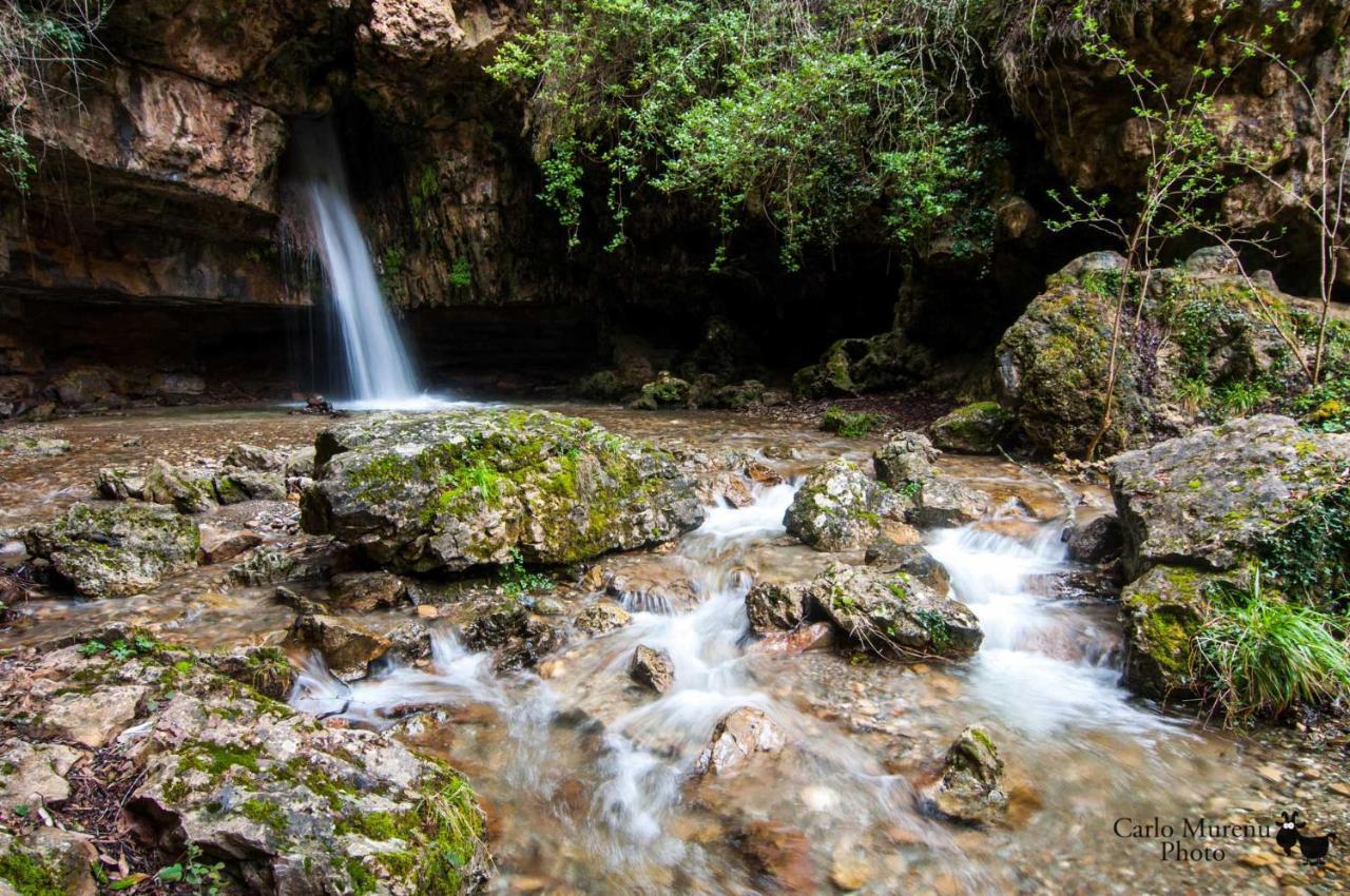 La Peonia Casa Vacanze In Montagna Prato Verde Panorama Stupendo Sardegna Seùlo Εξωτερικό φωτογραφία