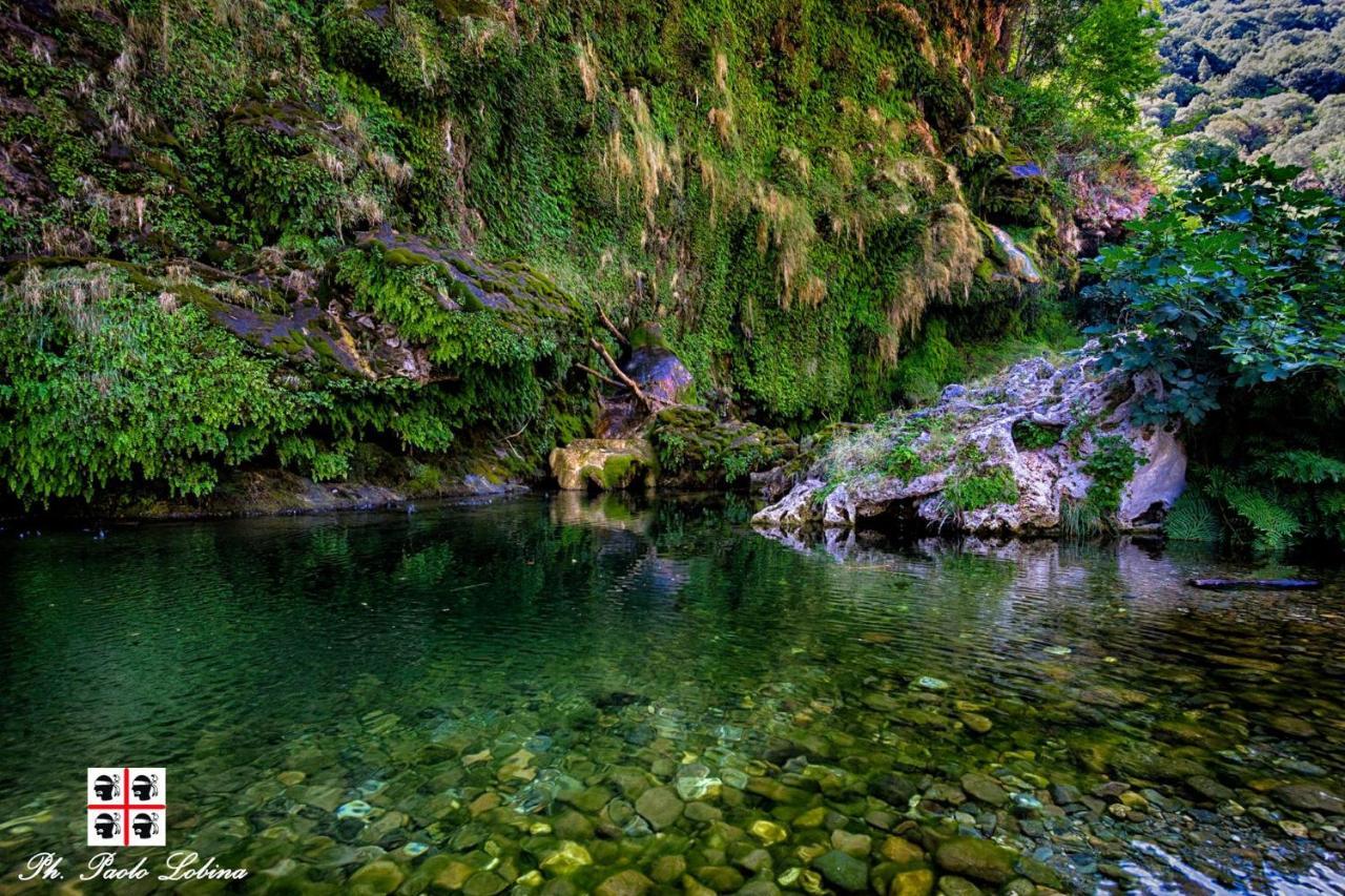 La Peonia Casa Vacanze In Montagna Prato Verde Panorama Stupendo Sardegna Seùlo Εξωτερικό φωτογραφία